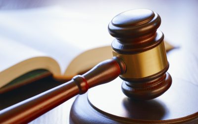Litigation Services Across Legal Fields